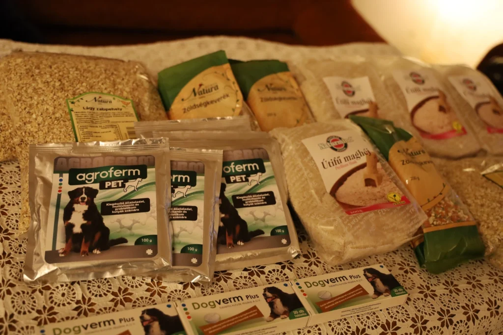 Vizslamentő alapívtvány 02